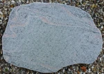 Trædesten